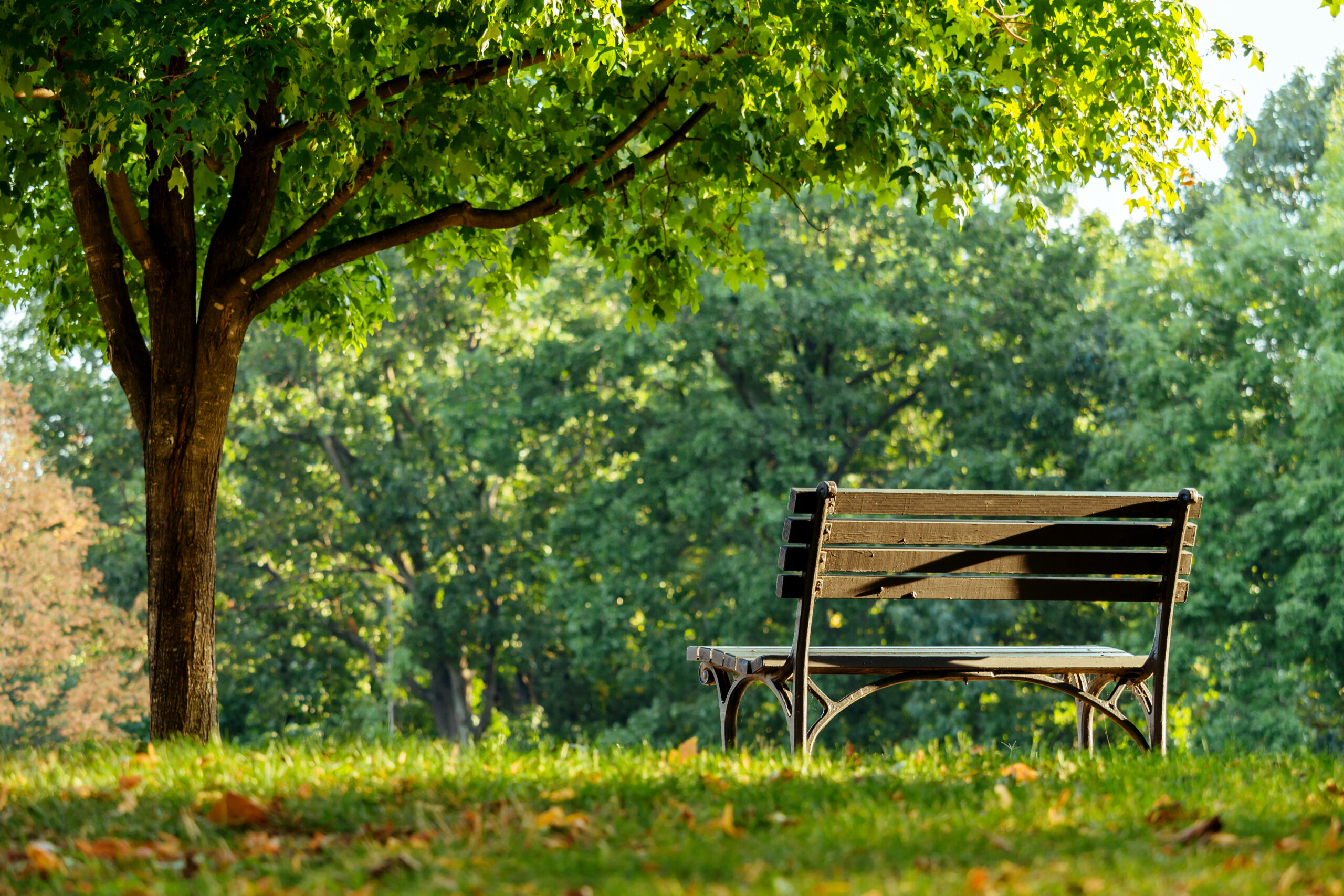 Herinnerplek Dinxperlo